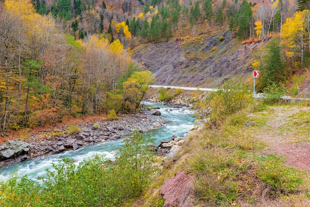 速い川のある秋の山の風景