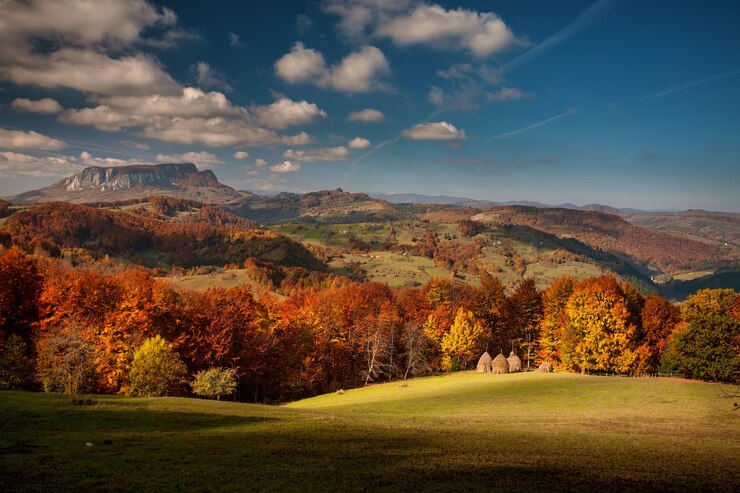 Photo autumn mountain landscape - yellowed and reddened autumn trees combined with green needles and blue skies. colorful autumn landscape scene in the romanian carpathians. panoramic view.