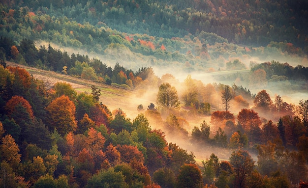 Photo autumn mountain landscape