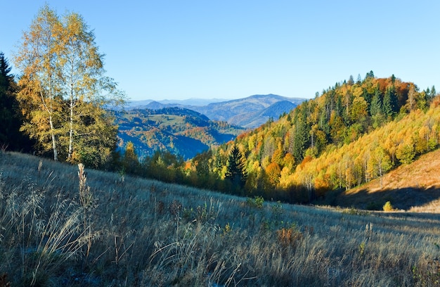 Autumn  mountain Nimchich pass (Carpathian, Ukraine) and colorful trees on hill.