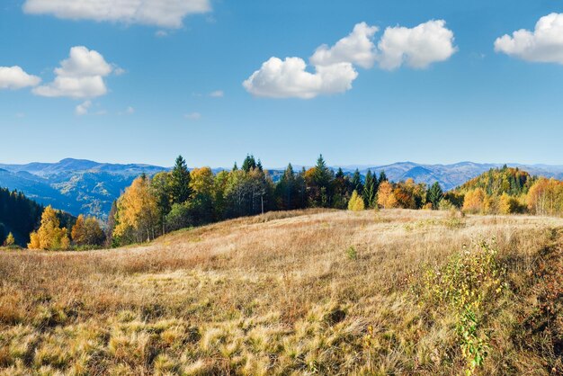 Autumn mountain Nimchich pass Carpathian Ukraine