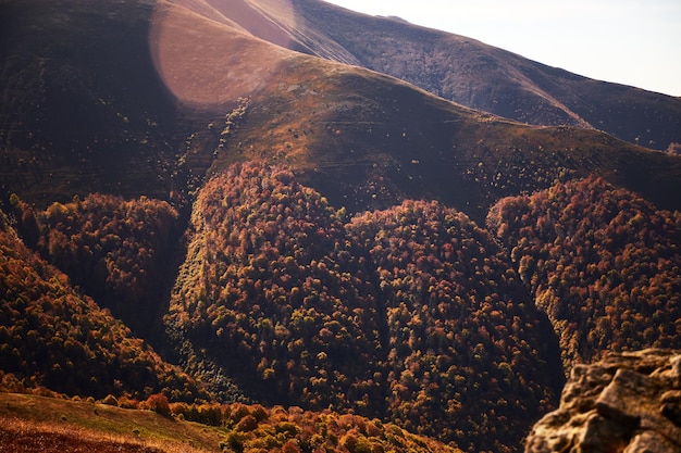 秋の山脈 カルパティア山脈 ウクライナ ボルジャヴァ尾根のウォーキングとハイキングコース 秋のカルパティア山脈の農村地域