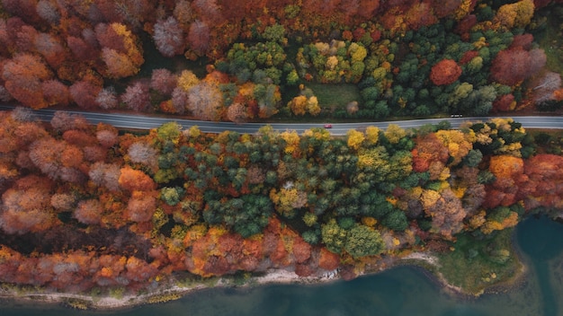 Autumn mountain road