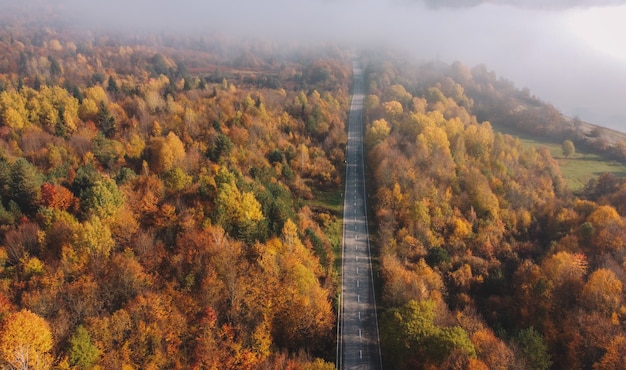 秋の山道