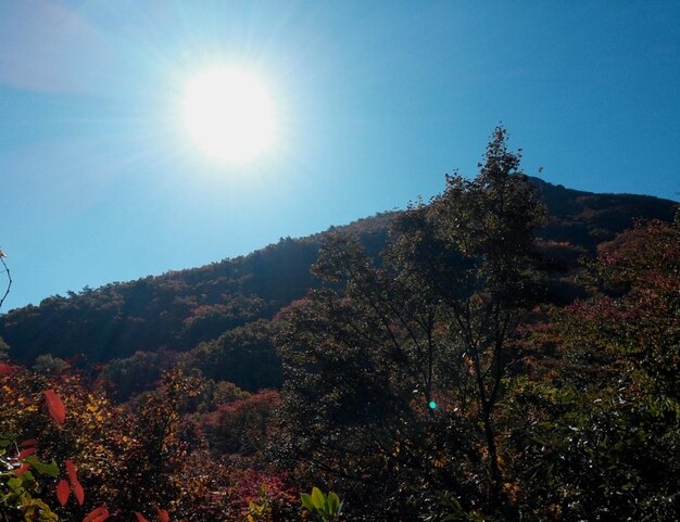 Autumn mountain scenery in south korea