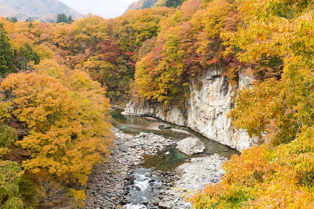 가을 산골짜기 풍경