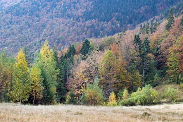 Autumn mountain valley view