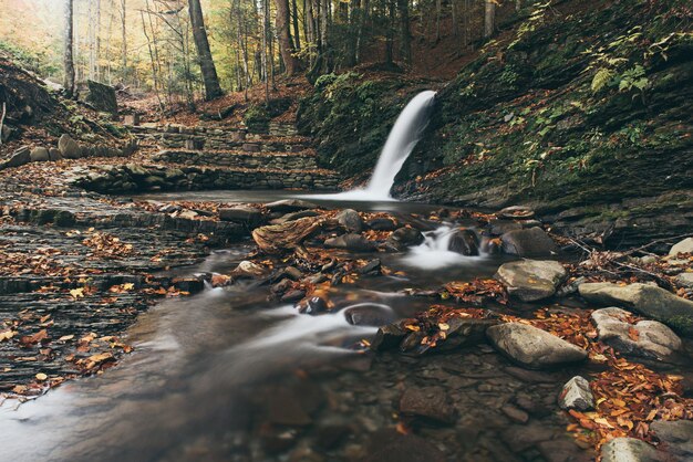 Autumn mountain waterfall stream in the rocks with colorful red fallen dry leaves natural seasonal background Lumshory Transcarpathia Ukraine