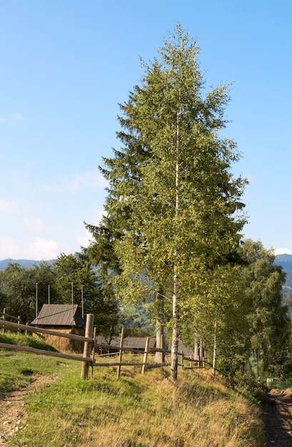 Autumn mountainous view  with small country estate.