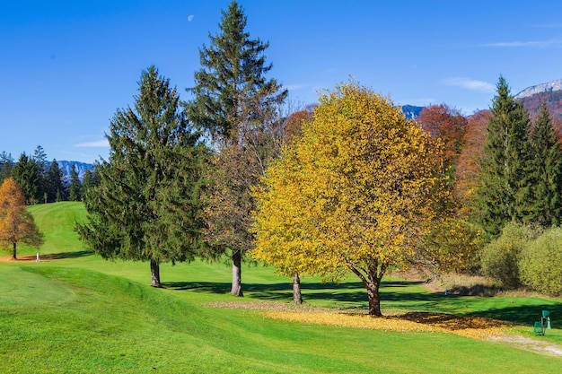 Foto autunno in montagna bellissimo paesaggio autunnale