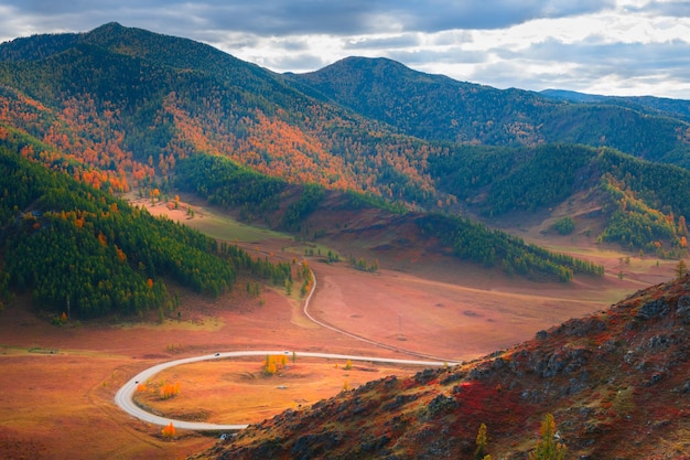 Montagne autunnali con alberi verdi e gialli in altai russia