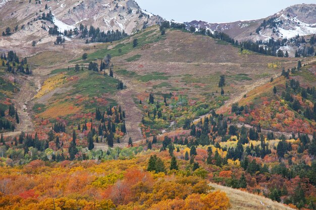 Autumn in mountains