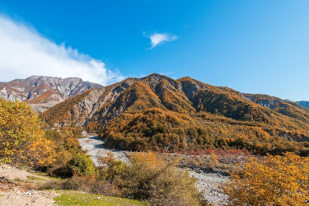 산속의 가을