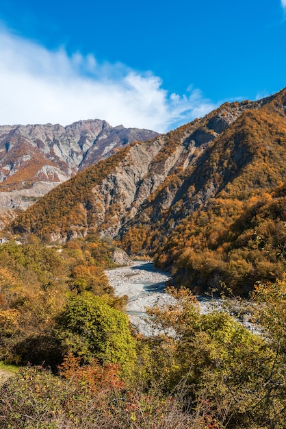 산속의 가을