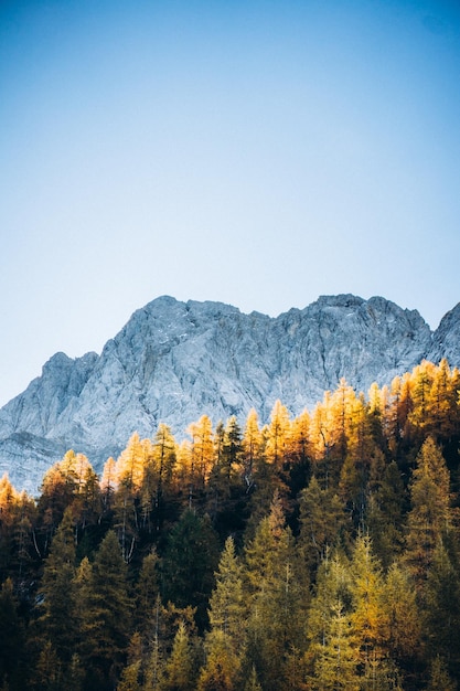 Foto autunno in montagna