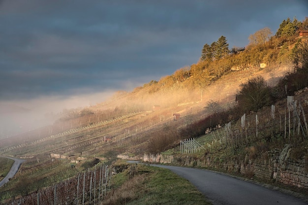 autumn in the mountains