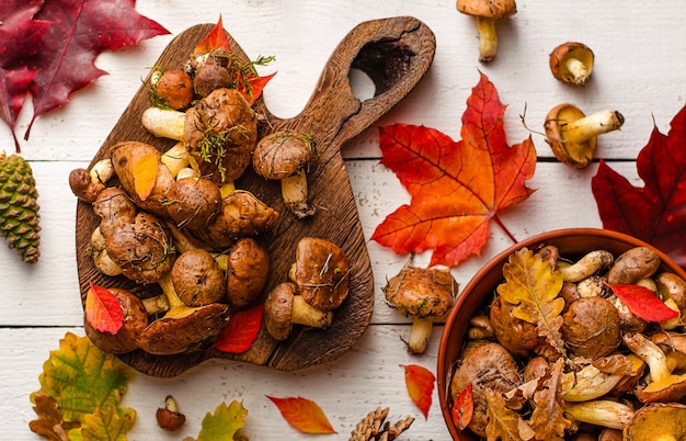 Autumn mushroom harvest.