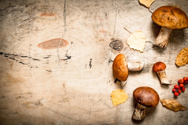 Autumn mushrooms with maple leaves. On a wooden table.