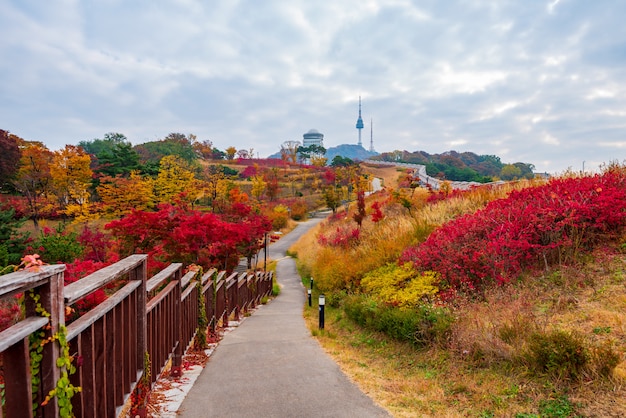 서울 남산 타워 가을