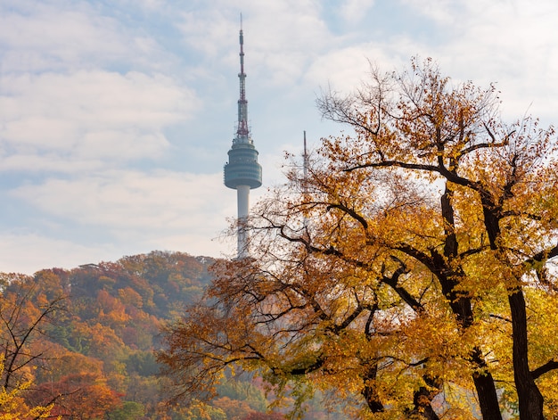 韓国ソウルの南山タワーの秋