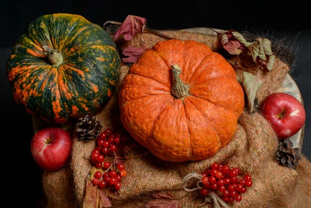 Concetto di natura autunnale, cena del ringraziamento