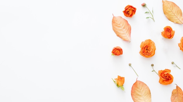 Autumn nature theme Red leaves and open orange rose buds scattered on white surface