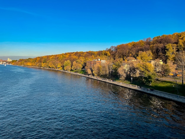 Photo autumn nature on the waterfront moscow russia