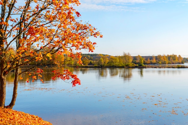 autumn nature