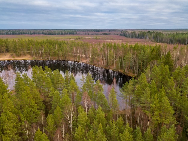 Autumn in the northern forest. Small lake among pines. Aerial view