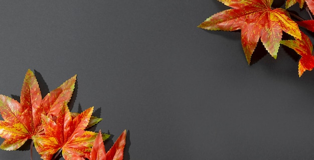 Autumn orange maple leaves on a black background Modern minimalistic autumn web banner with copy space for text