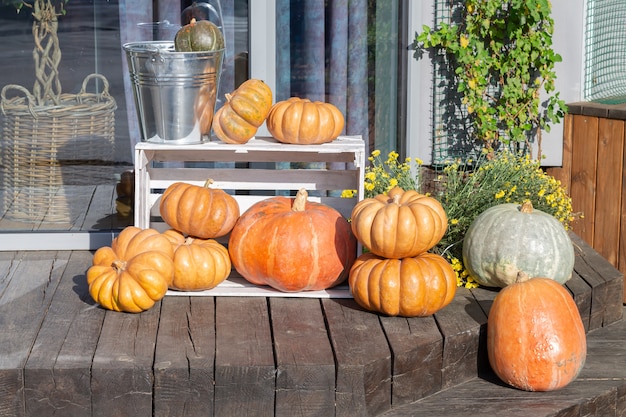 Composizione in autunno all'aperto con zucche e fiori per halloween