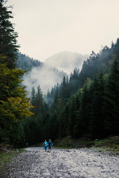 Autumn overcast carpathian mountains