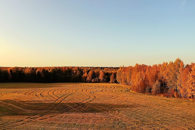 autumn panorama drone, landscape in autumn nature top view