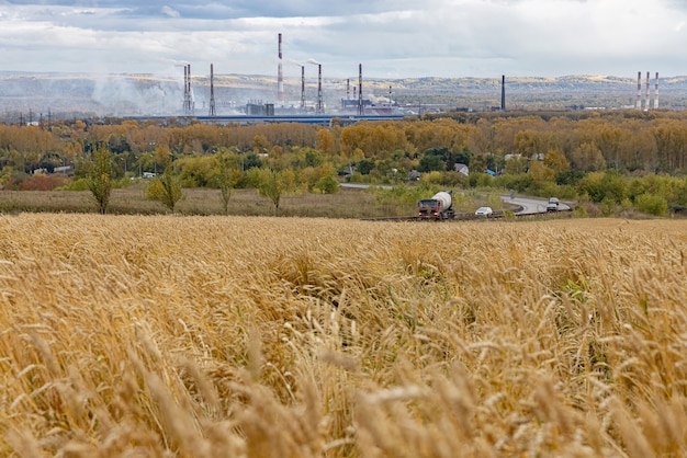Autumn panorama Fuming chimneys of a plant on the background of a field with ears of ripe wheat