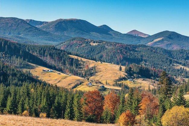 Autumn panorama of mountain village autumn in Carpathians yellow mountains Carpathians Ukraine