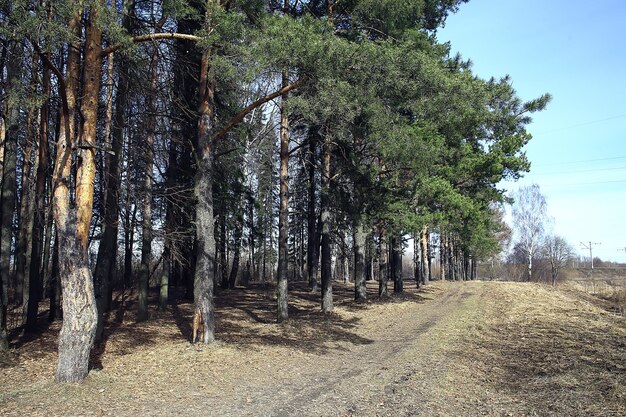 осенний парк в городском пейзаже, абстрактный осенний вид