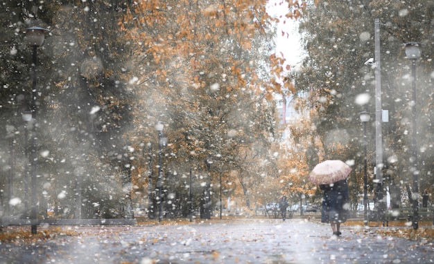 Parco d'autunno nei giorni della prima neve