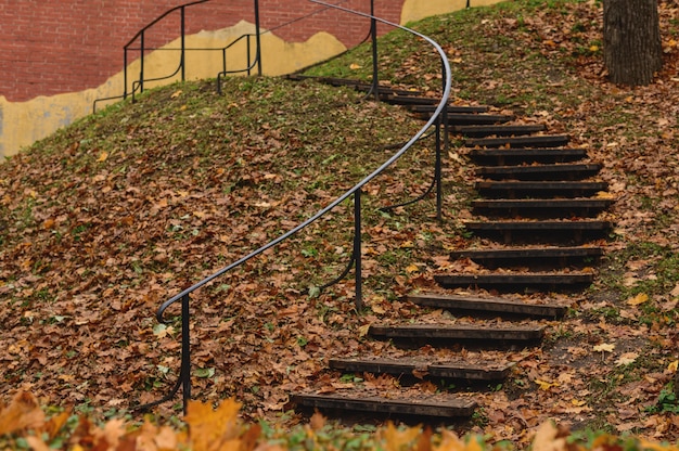 Autumn Park steps among bright yellow leaves