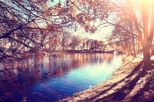 秋の公園の太陽の風景/黄色い公園の季節の秋の風景、10月の日没の太陽光線