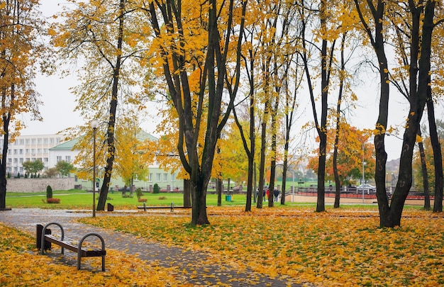 Осень в парке. Деревья с разноцветными листьями