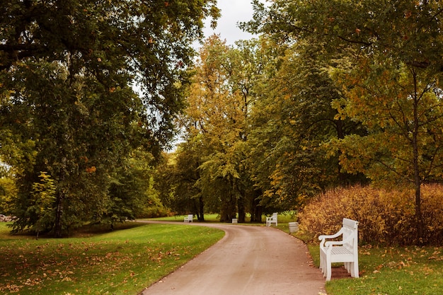 秋の公園と広い道のロマンチックな秋の季節の風景