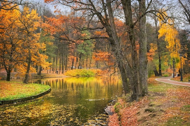 Autumn park with golden trees and a pond with ducks