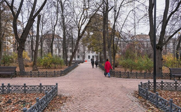 Photo autumn park with sidewalks lined with water and lawns fenced with metal fences in autumn