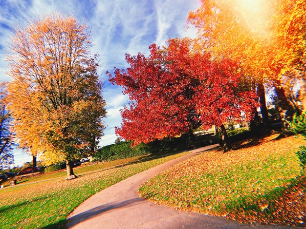 写真 秋の公園