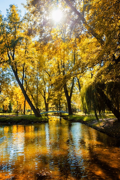 Autumn in park