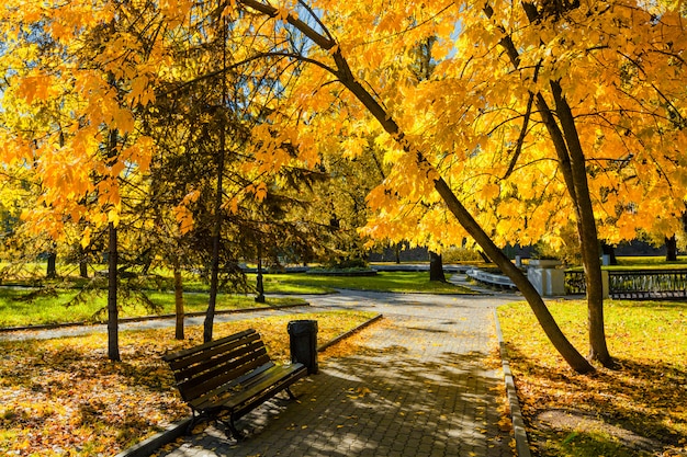 Autumn in park