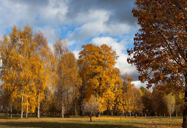 Осенний парк