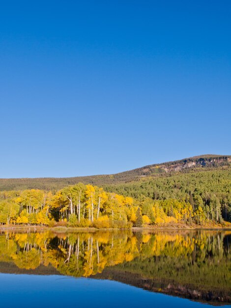 Autumn in perfect reflection of Woods Lake, Colorado.