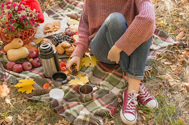 Autumn picnic in the park, warm autumn day