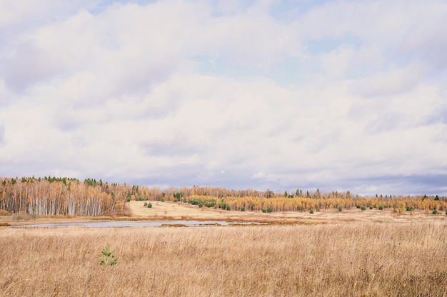 Photo autumn plain landscape. fall low sky with clouds, trees with yellow falling leaves, a pond and a field with withered grass